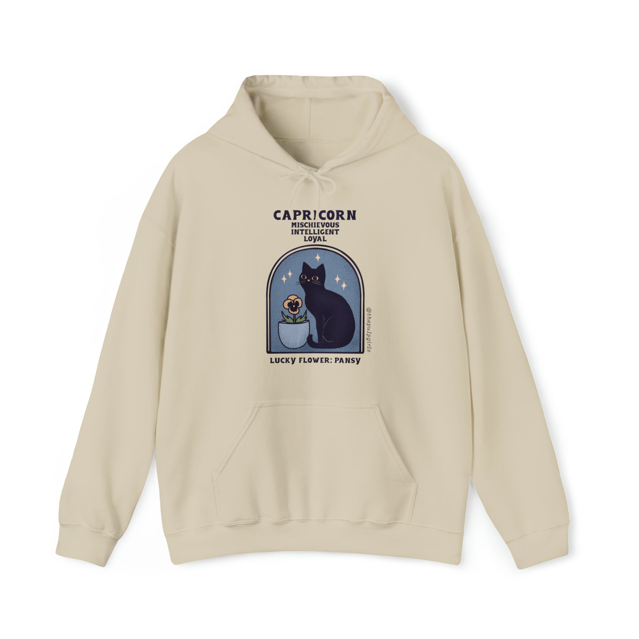 Capricorn Cat Astrology Hoodie