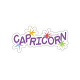 CAPRICORN Kawaii Vinyl Stickers