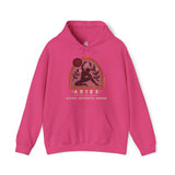 Aries Planet Astrology Hoodie