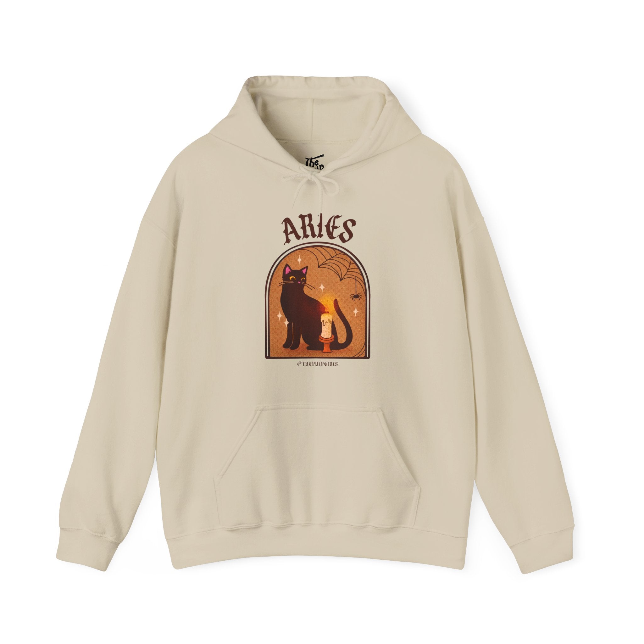 Aries Spooky Cat Astrology Hoodie
