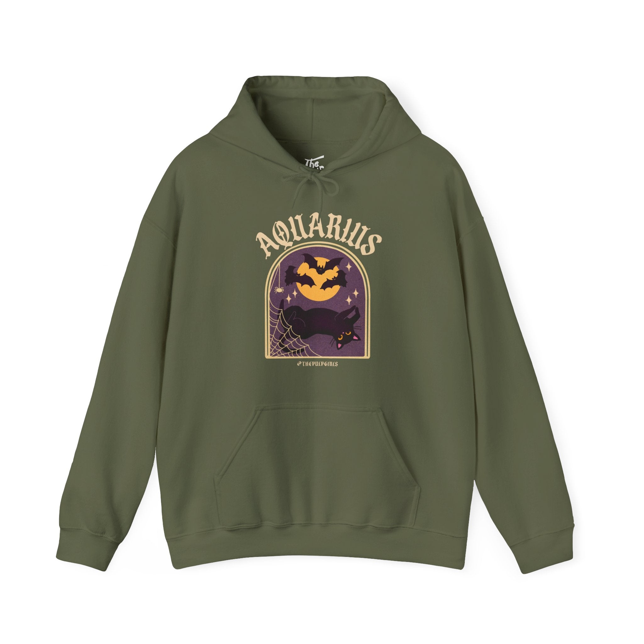 Aquarius Spooky Cat Astrology Hoodie