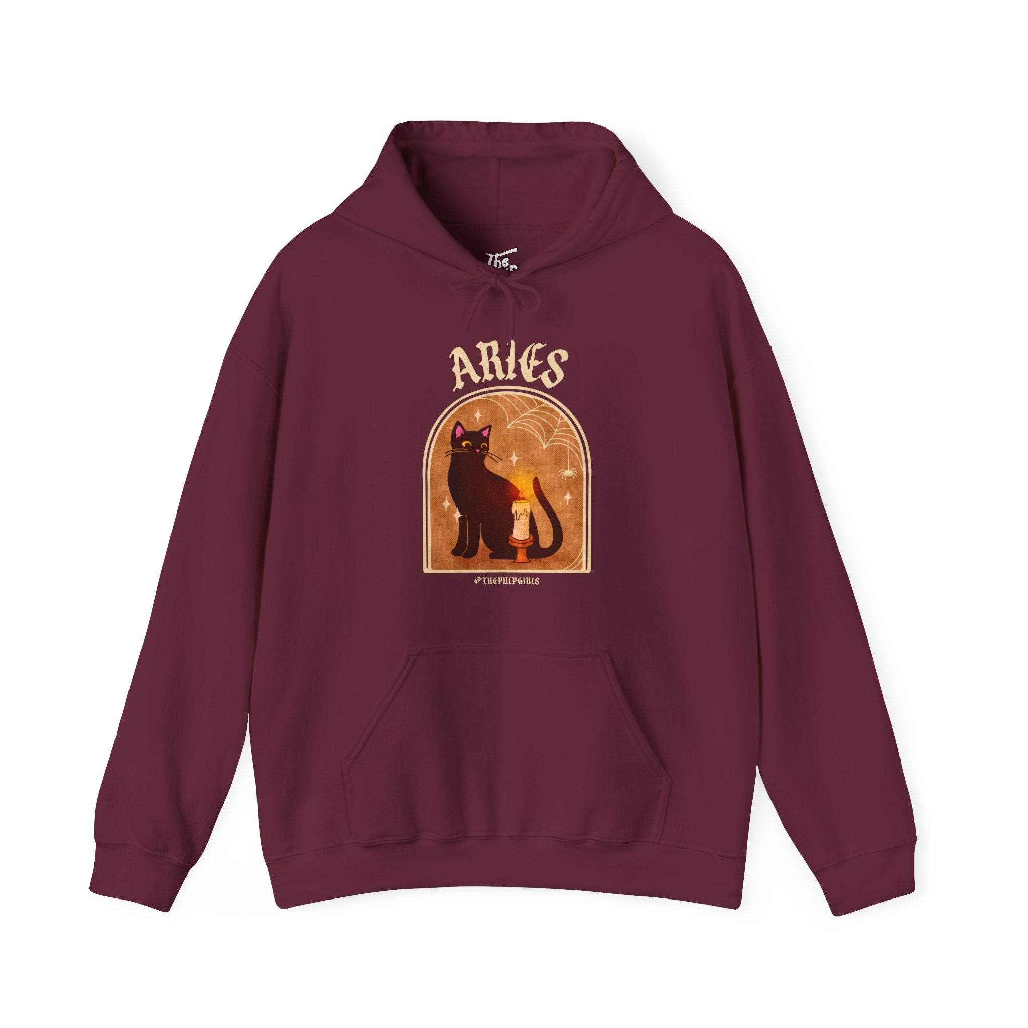 Aries Spooky Cat Astrology Hoodie