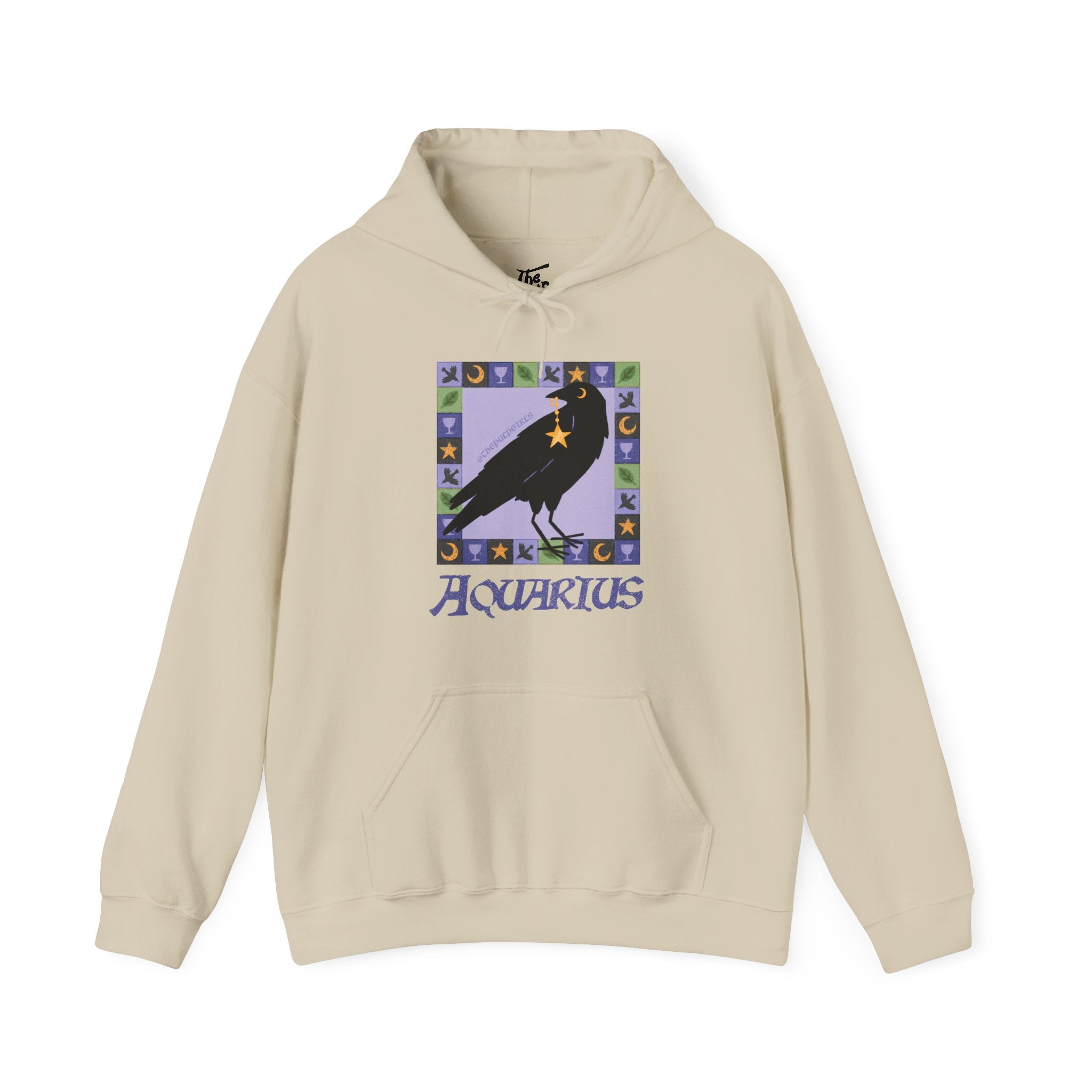 Aquarius Whimsical Crow Hoodie