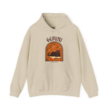 Gemini Spooky Cat Astrology Hoodie
