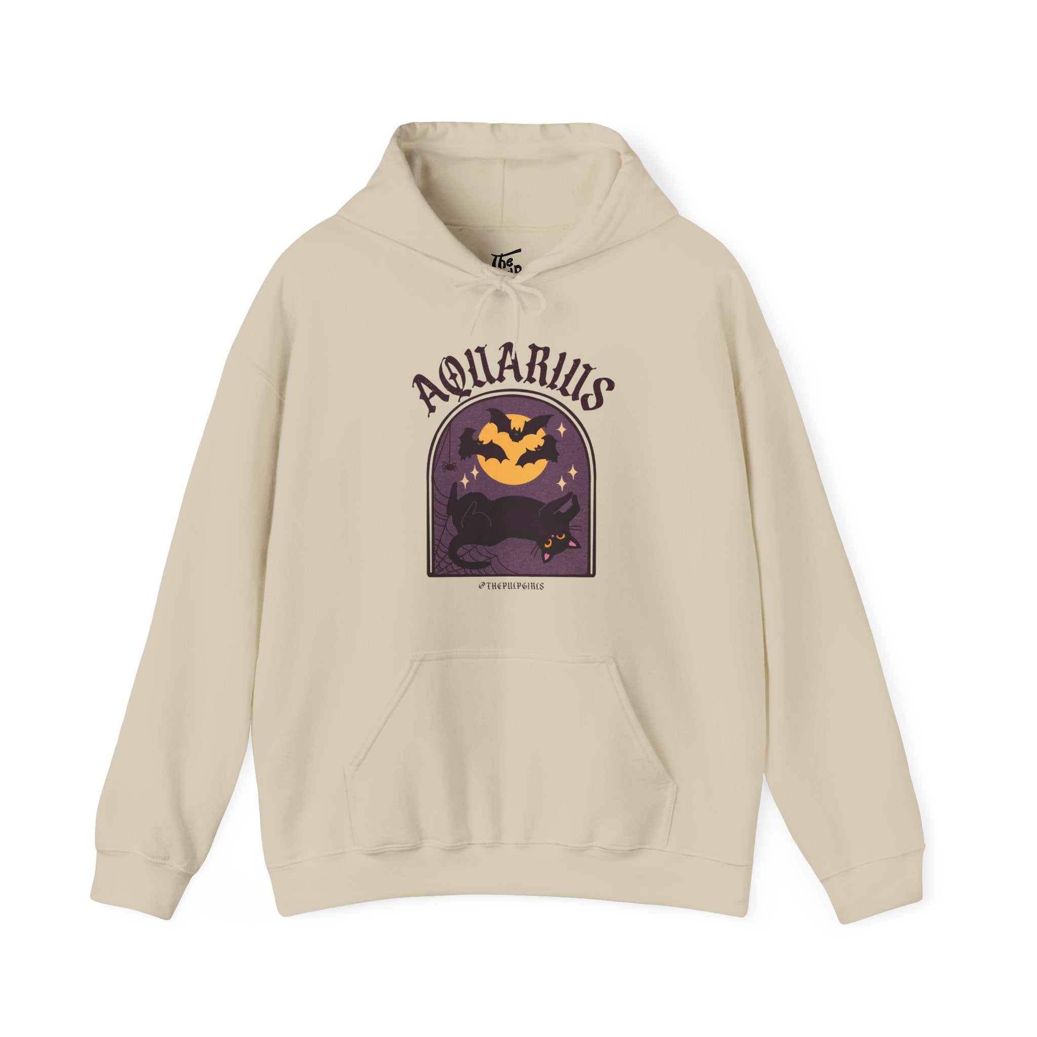 Aquarius Spooky Cat Astrology Hoodie