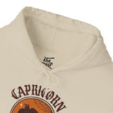 Capricorn Spooky Cat Astrology Hoodie