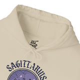 Sagittarius Spooky Cat Astrology Hoodie