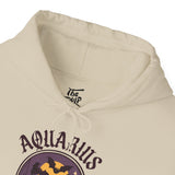 Aquarius Spooky Cat Astrology Hoodie