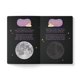 Cat Holiday Circle Journal