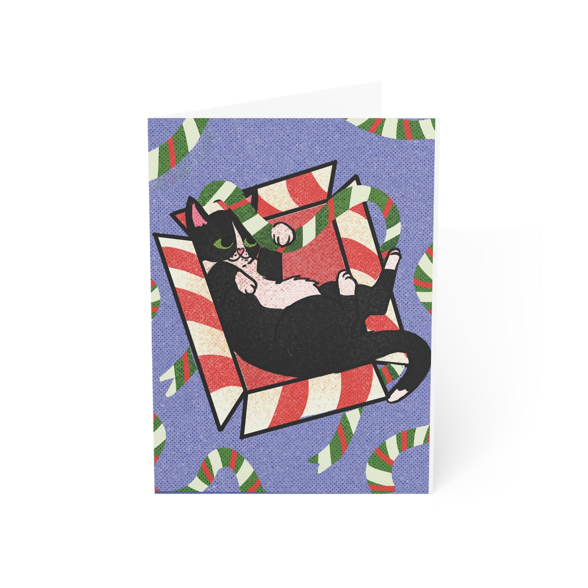 Feisty Feline Greeting Card