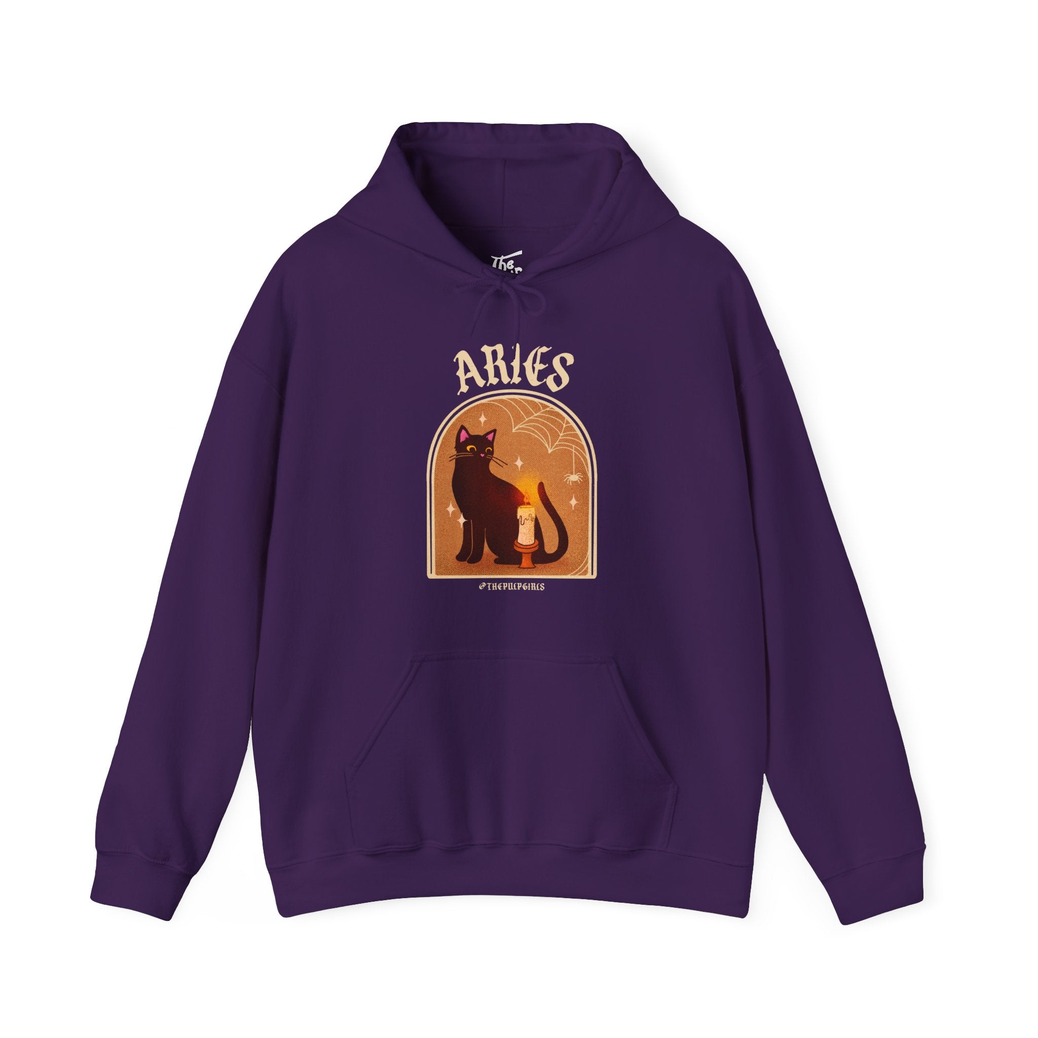 Aries Spooky Cat Astrology Hoodie