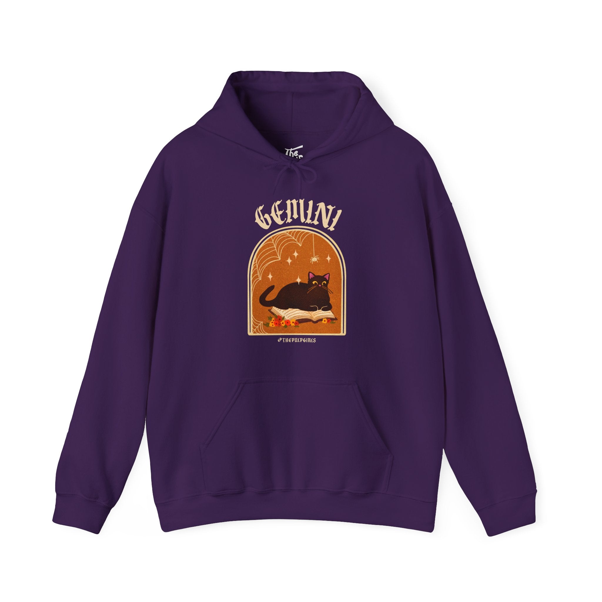 Gemini Spooky Cat Astrology Hoodie