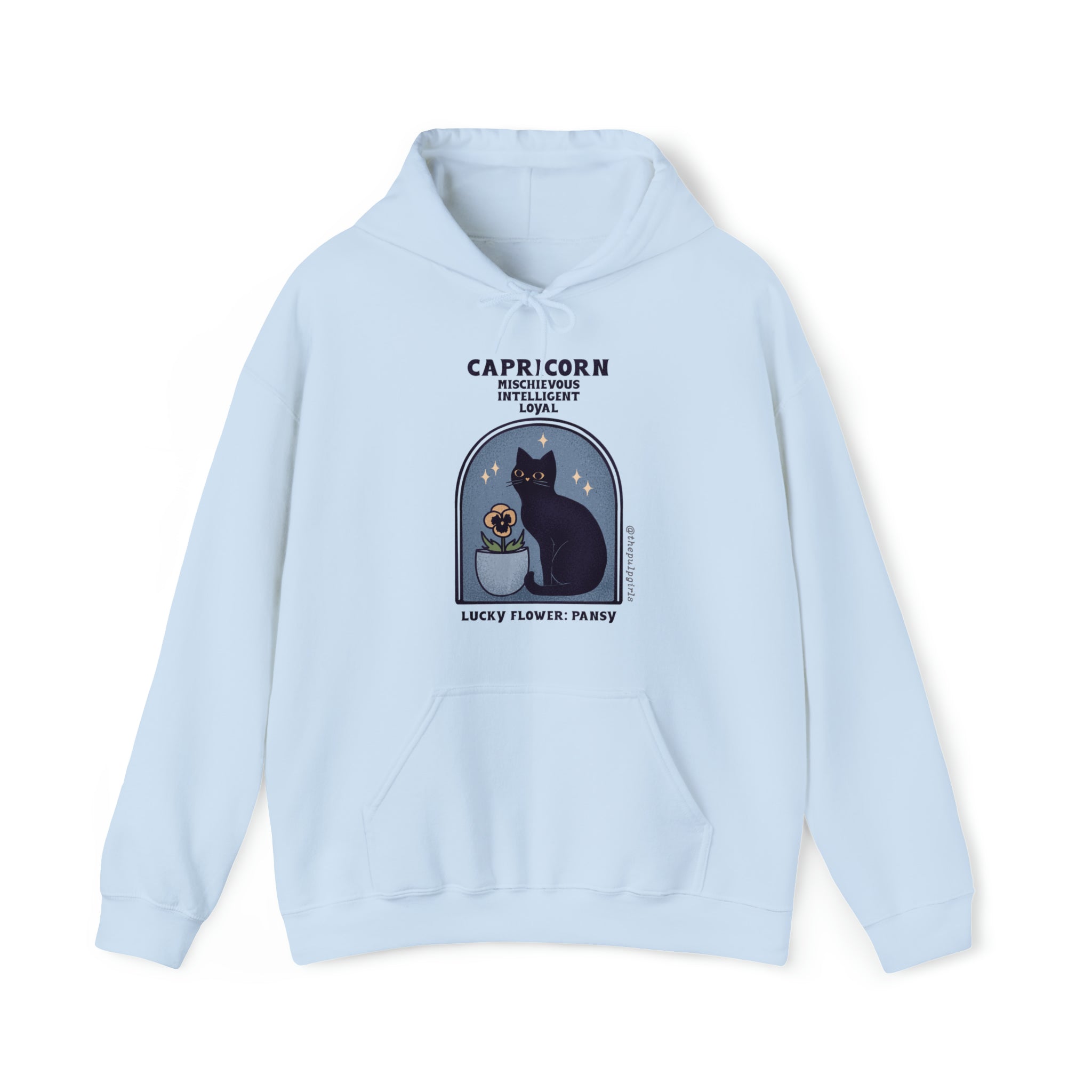 Capricorn Cat Astrology Hoodie