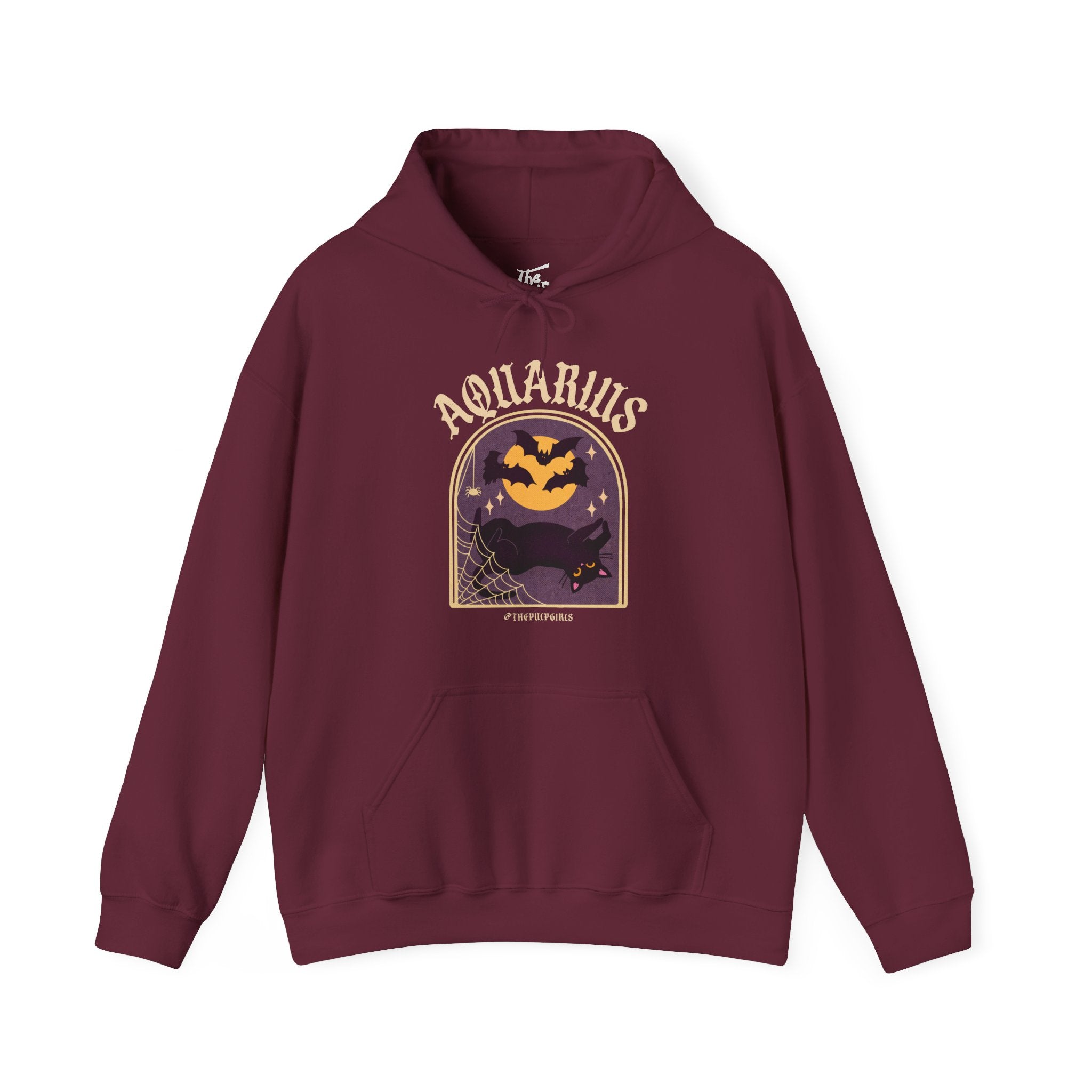 Aquarius Spooky Cat Astrology Hoodie