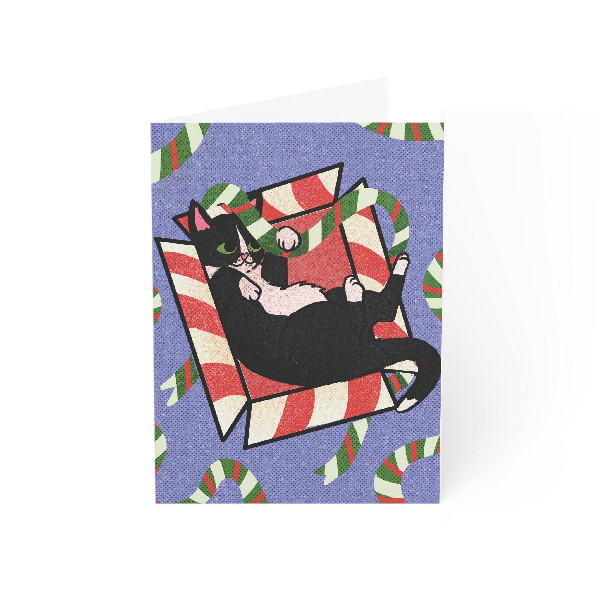 Feisty Feline Greeting Card