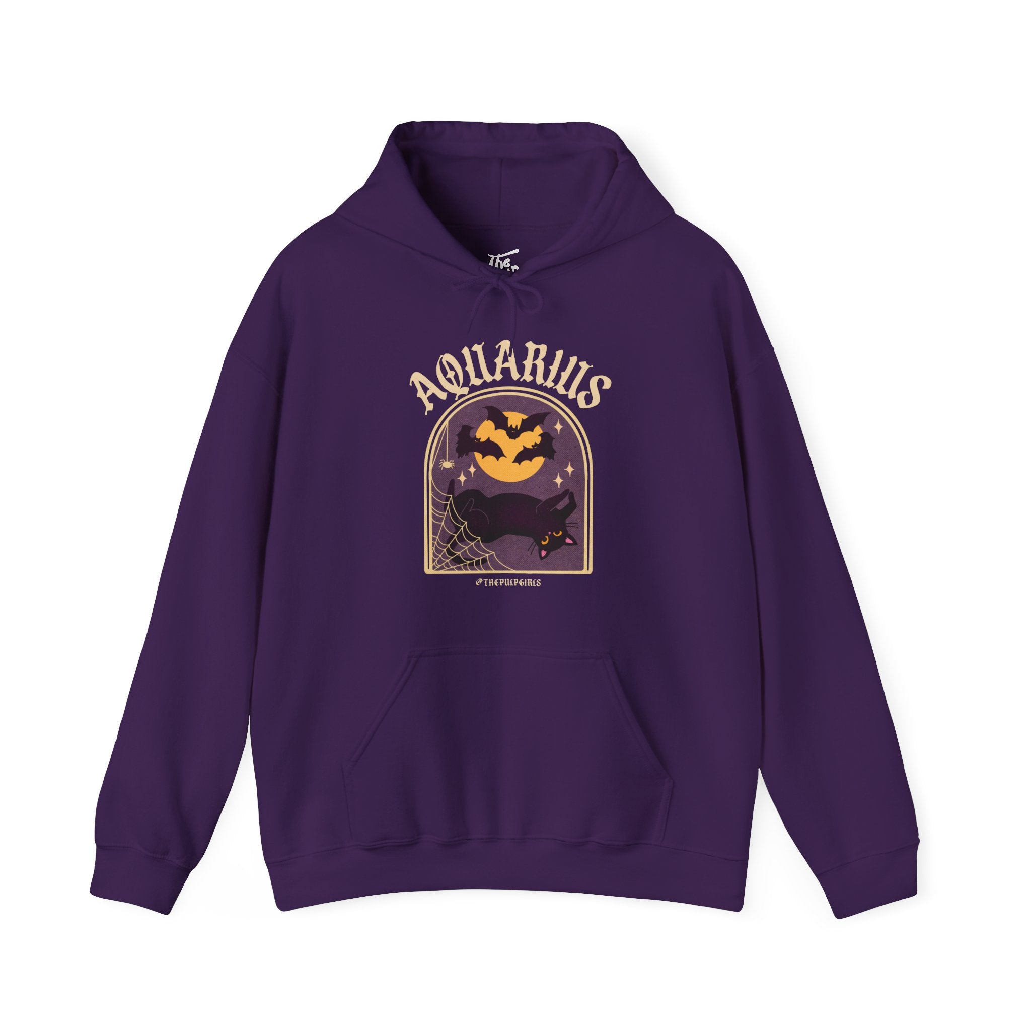 Aquarius Spooky Cat Astrology Hoodie