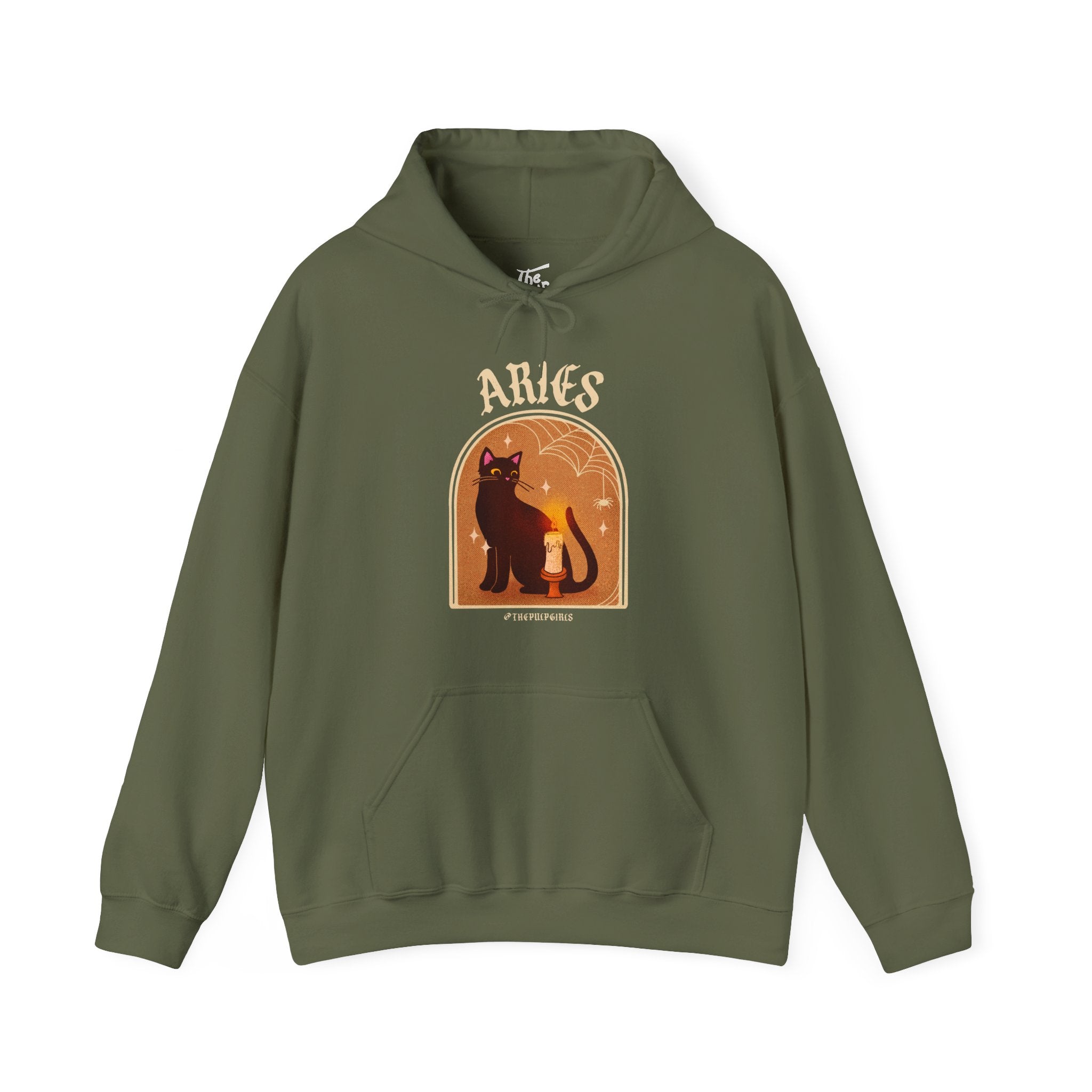 Aries Spooky Cat Astrology Hoodie